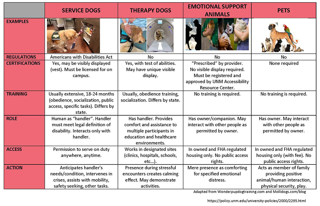 Animal Differences Chart: Service Dogs, Therapy Dogs, Emotional Support Animals, and Pets.