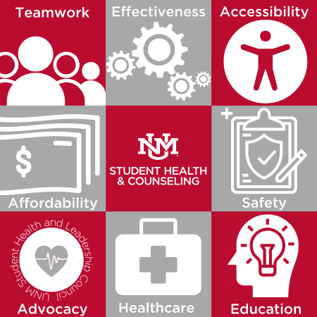 Mission Statement Graphic: Teamwork, Effectiveness, Accessibility, Affordability, Safety, Advocacy, Healthcare and Education