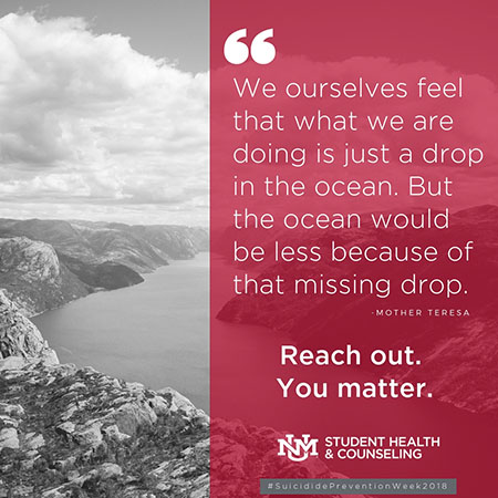 "We feel that what we are doing is just a drop in the ocean. But the ocean would be less because of that missing drop." said Mother Teresa. Reach out. You matter.