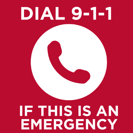 Picture of a phone. If this is an emergency, dial 9 1 1.