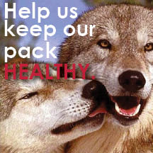 Help Us Keep Our Pack Healthy