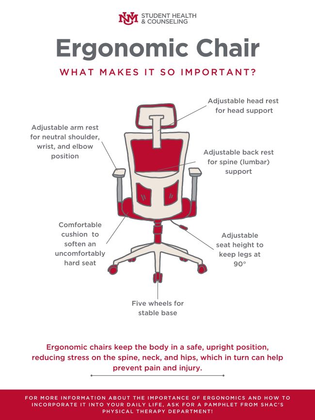 Ergonomic Chair. What makes it so important. 
